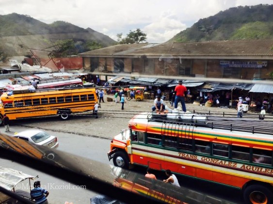 11951885_10205965467110417_2258382404007977916_n