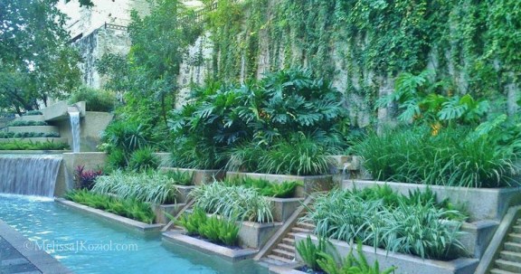 1450156_10100991557033808_452147443_n