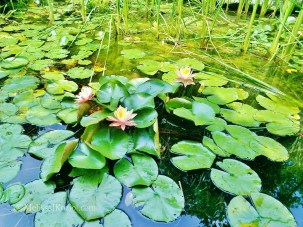 967289_10100715567983078_642627185_o