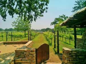 977862_10100714502034248_1644274747_o