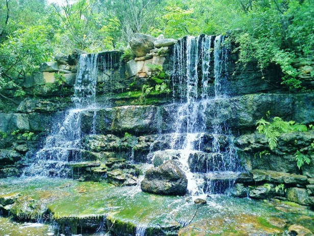 981564_10100716074468078_1493936260_o