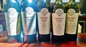 IMG_20150413_134254699_HDR